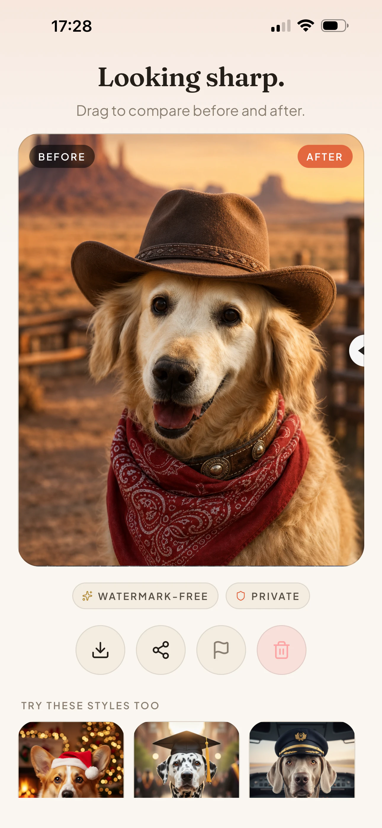 Petsuit: AI Pet Portraits gallery image