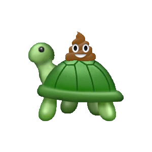 Mr Turdle