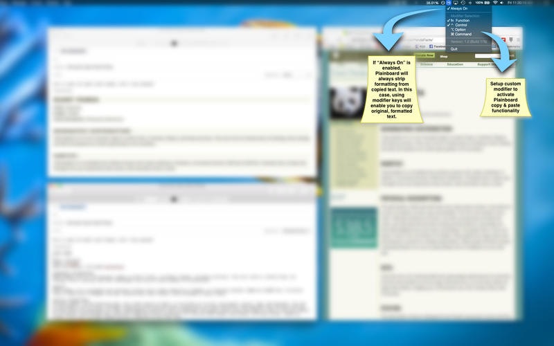 Plainboard gallery image