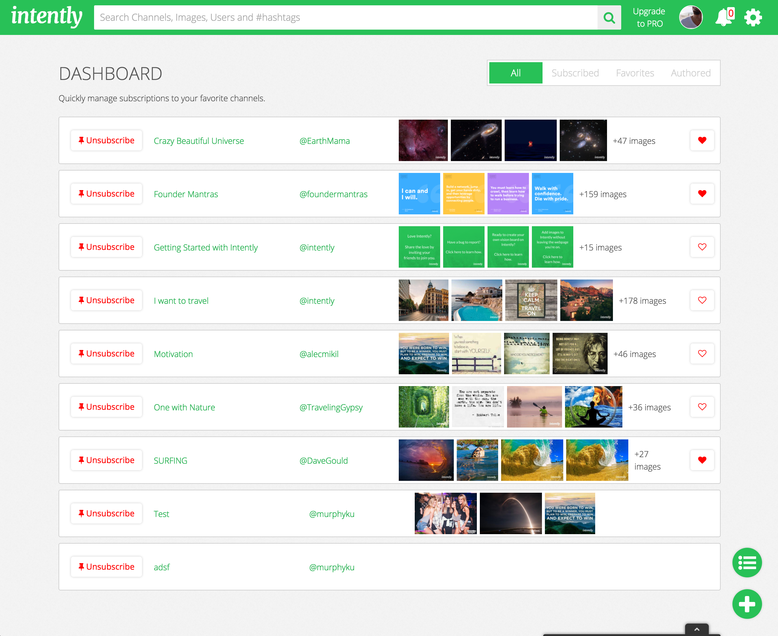 Intently gallery image