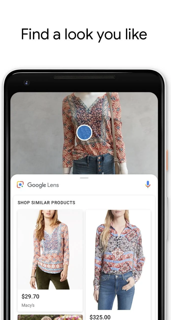 Google Lens Image