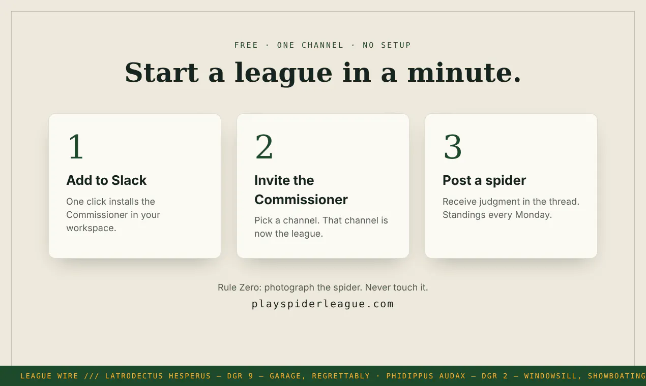 Spider League gallery image