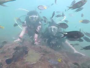 Hotels in Konkan gallery image