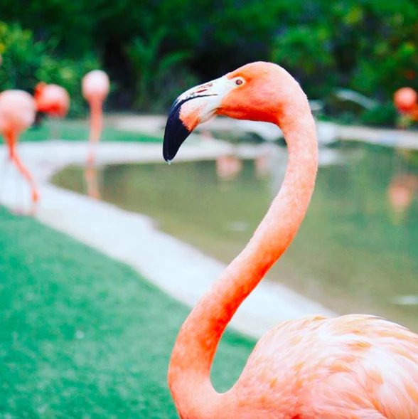 A Life More Inspired