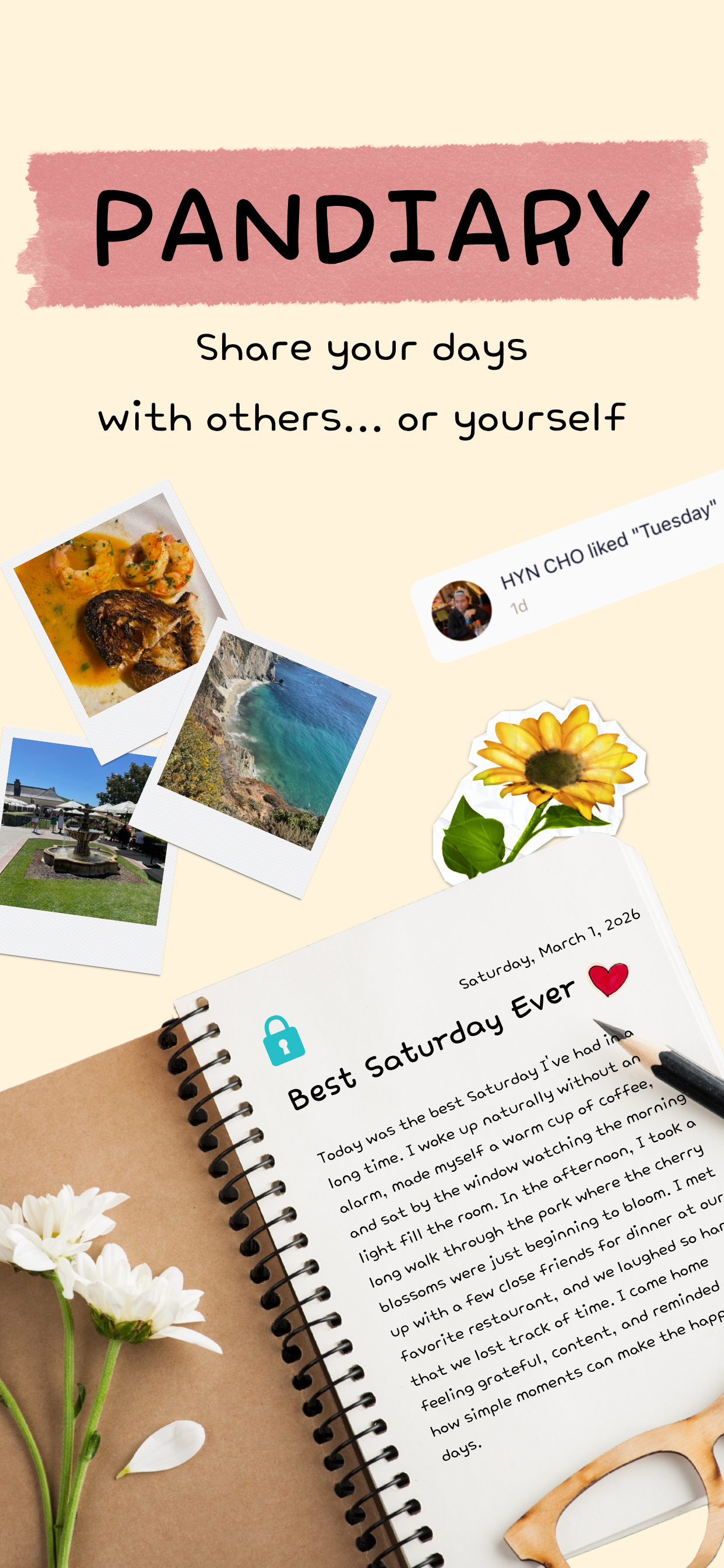 Pandiary gallery image