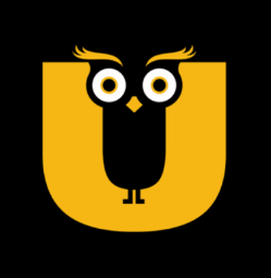 Owl Turn