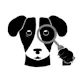 Domain Watchdog