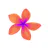 Plumeria