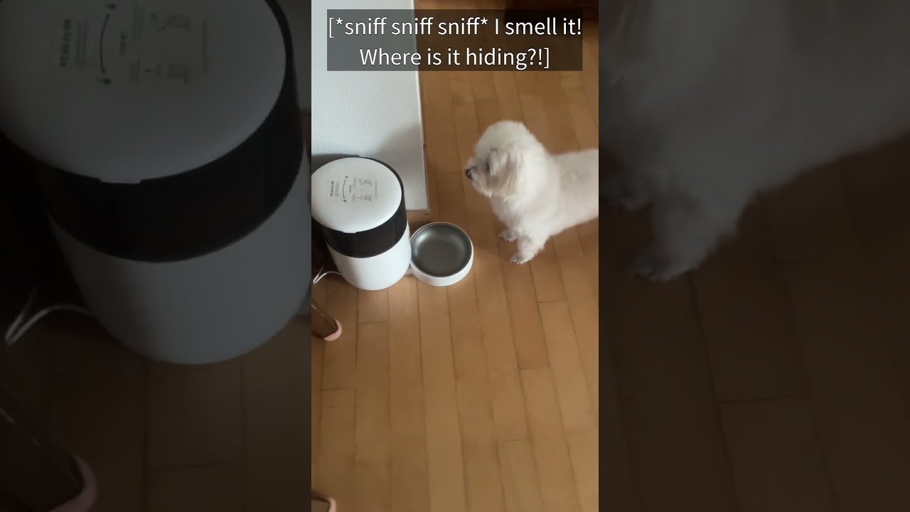 Cherinity gallery image