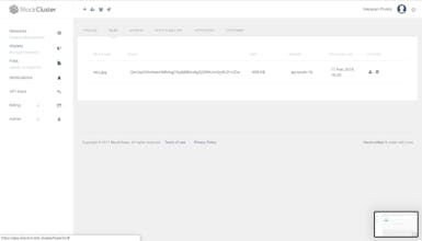 BlockCluster gallery image