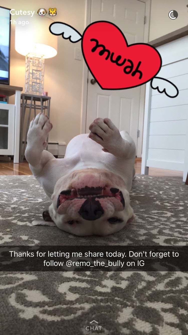 CutesyTV gallery image