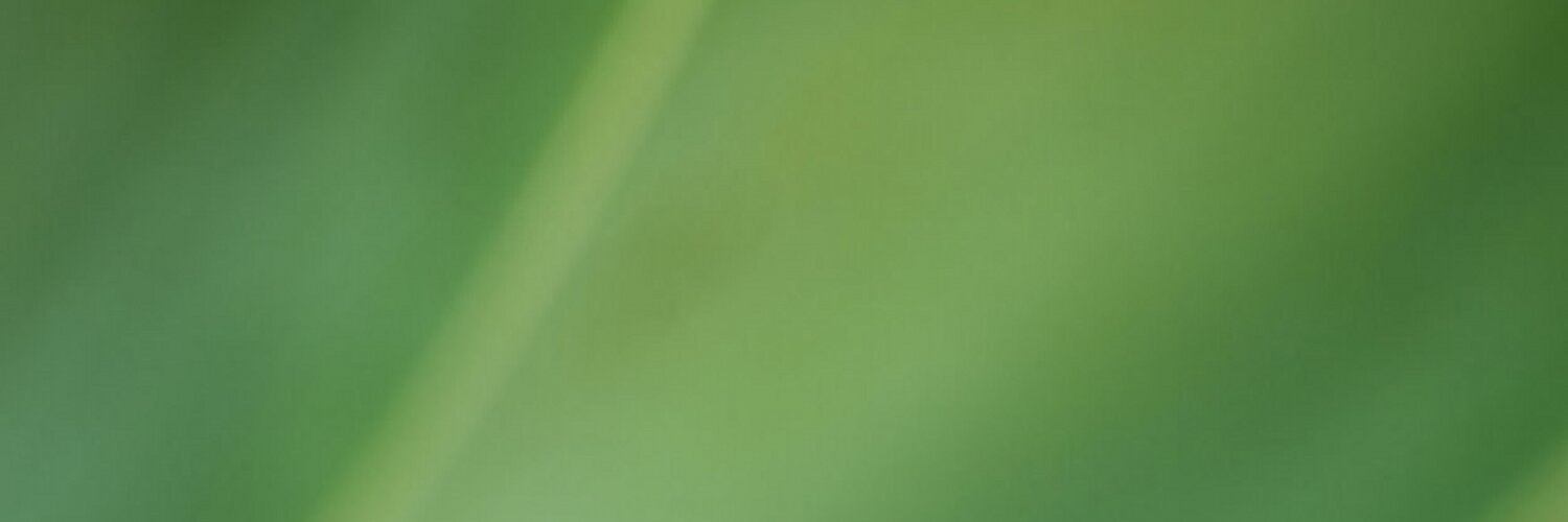 ProductHunt banner for @nathan