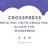 CrossPress-A Multisite WordPress Plugin