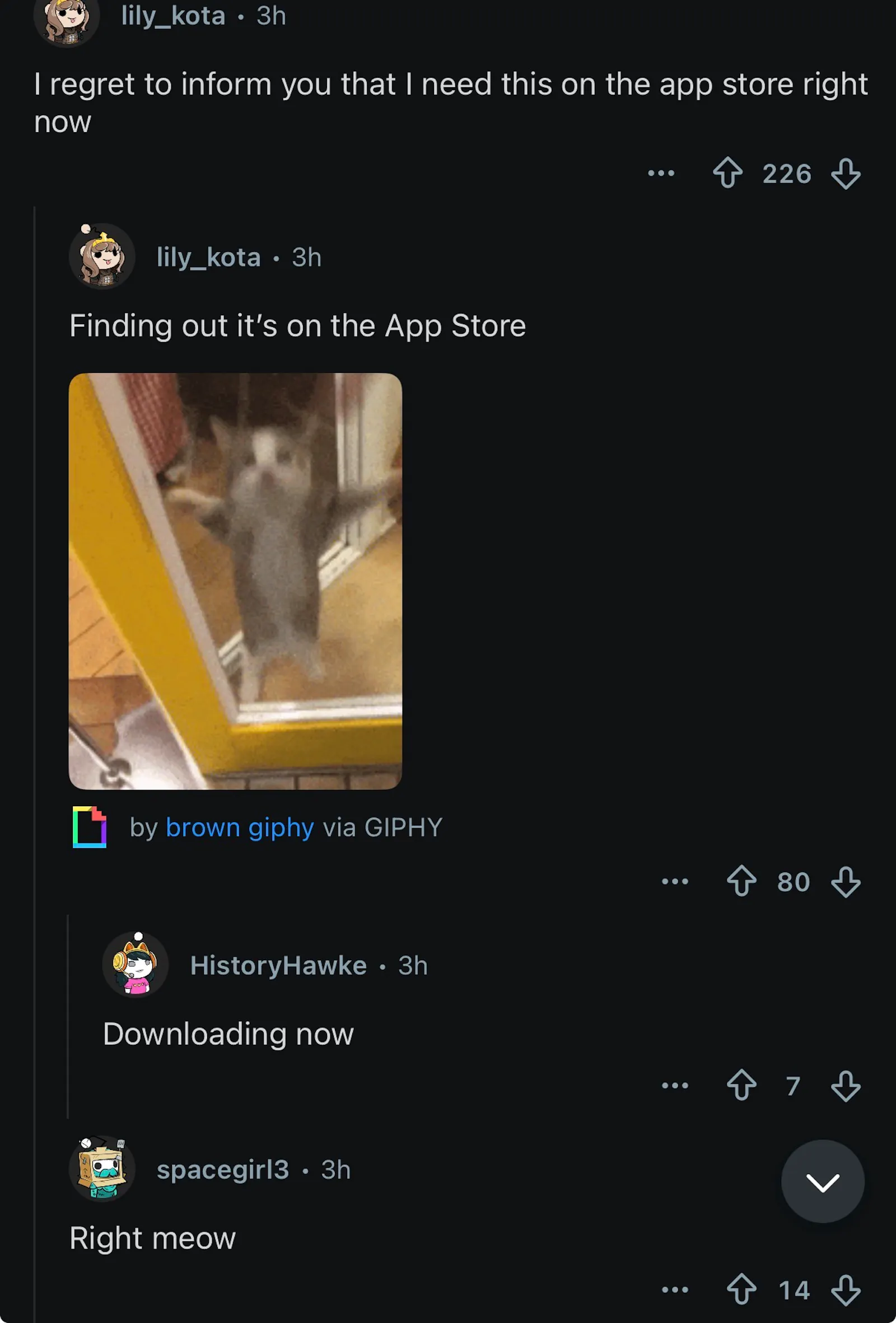 Chonk Finder screenshot 7