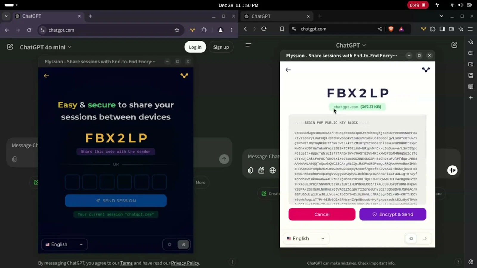 Flyssion screenshot 1 (video preview)