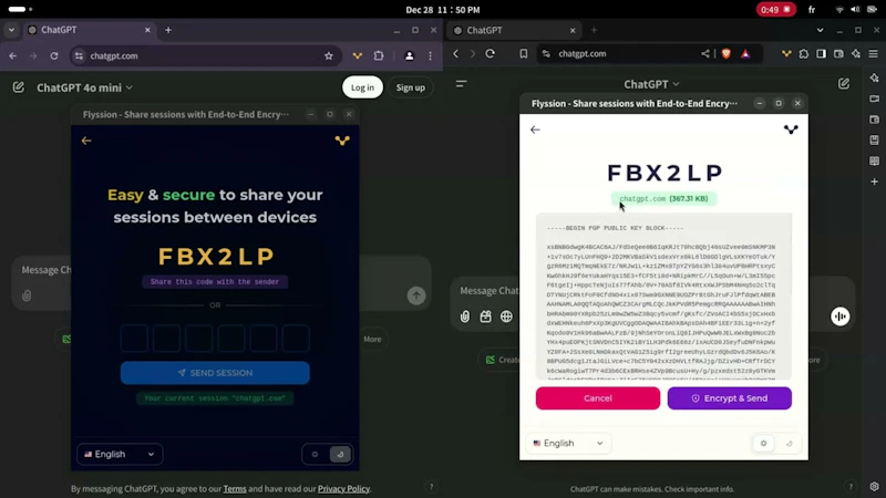 Flyssion screenshot 1 (video preview)
