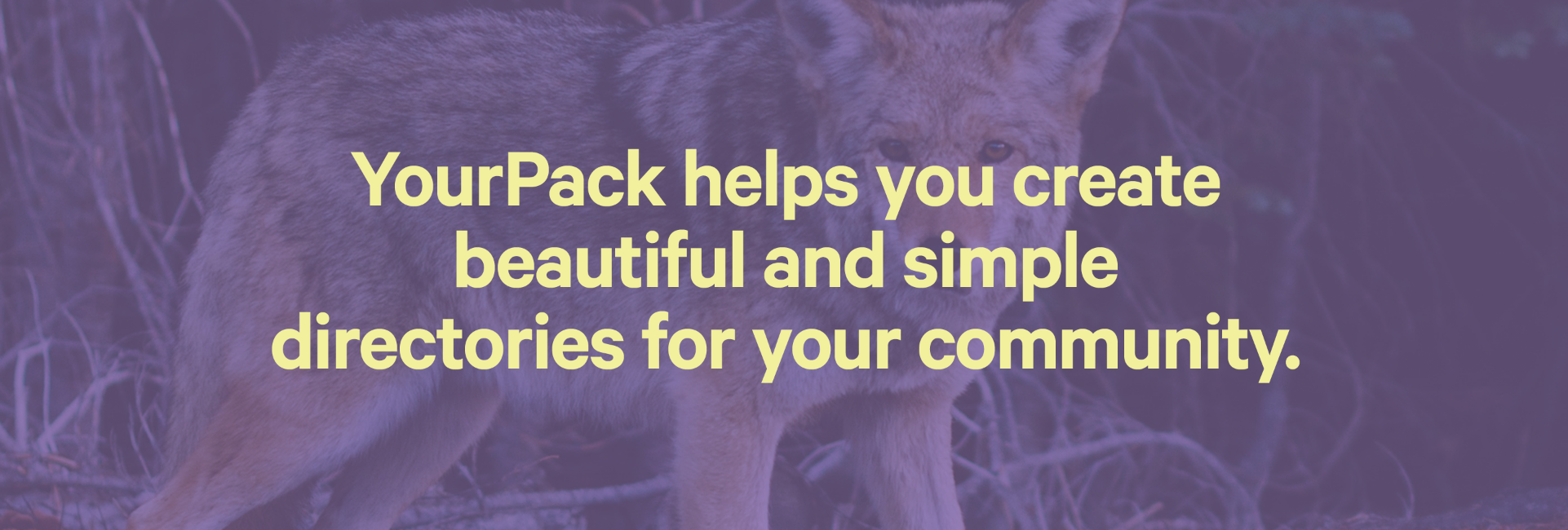 YourPack gallery image