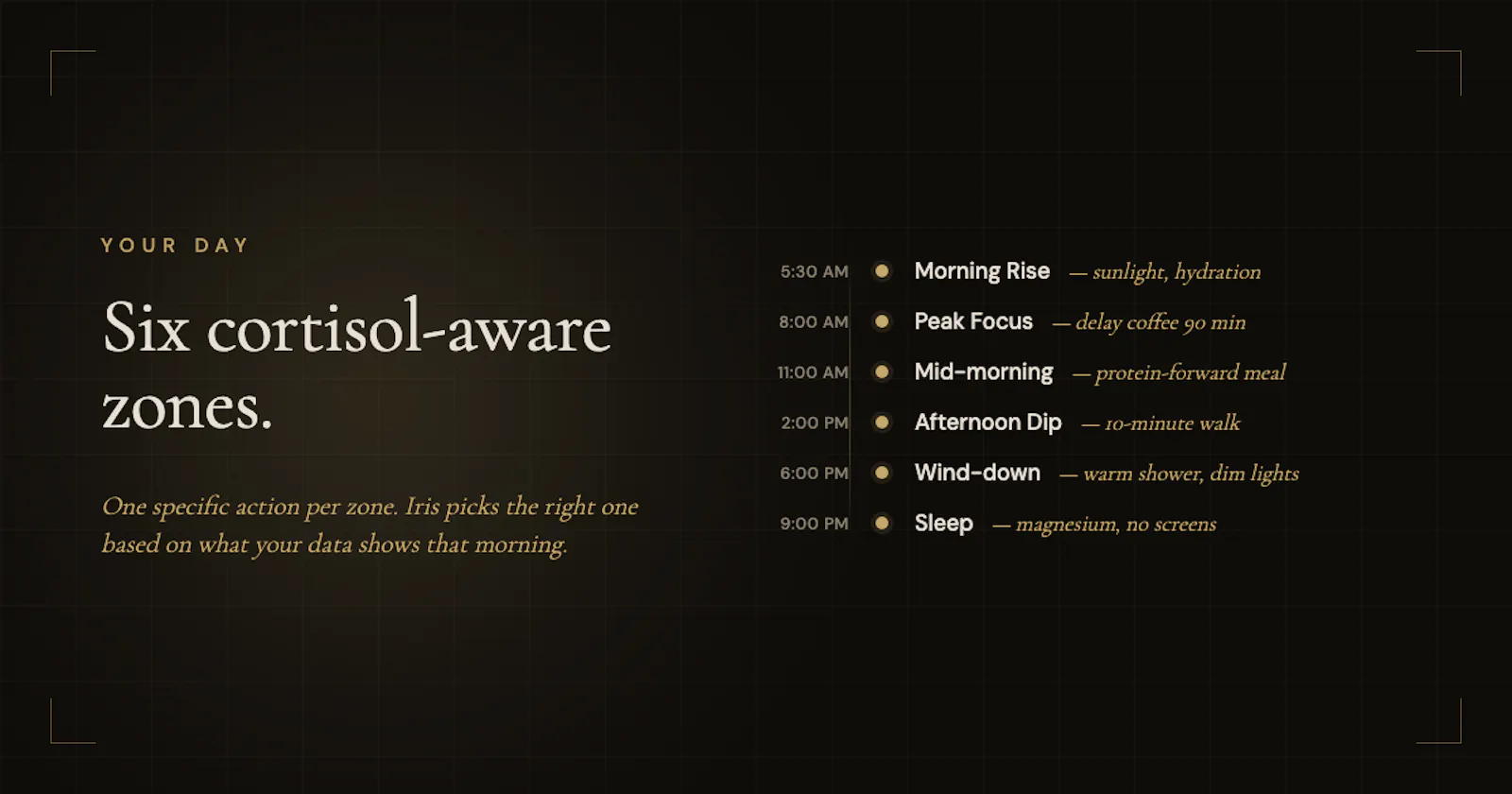 LiveNew screenshot 3