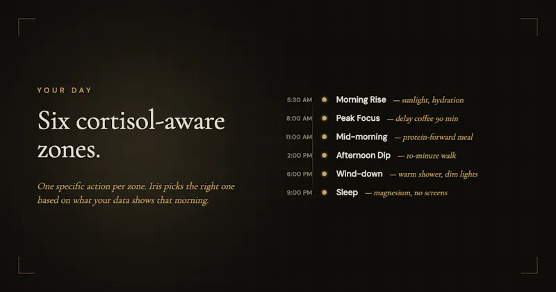 LiveNew screenshot 3