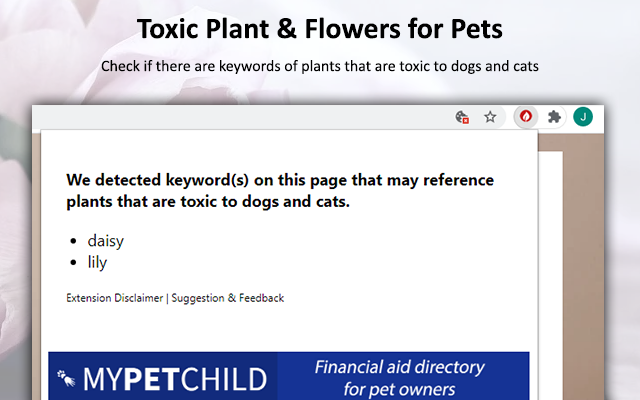 Plant Toxicity for Pets Checker gallery image