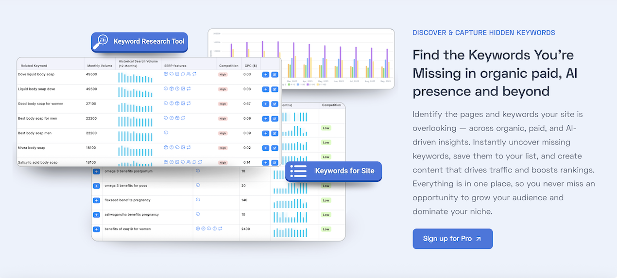 DOT SEO TOOLS - pro - Screenshot 4 showing product features and functionality