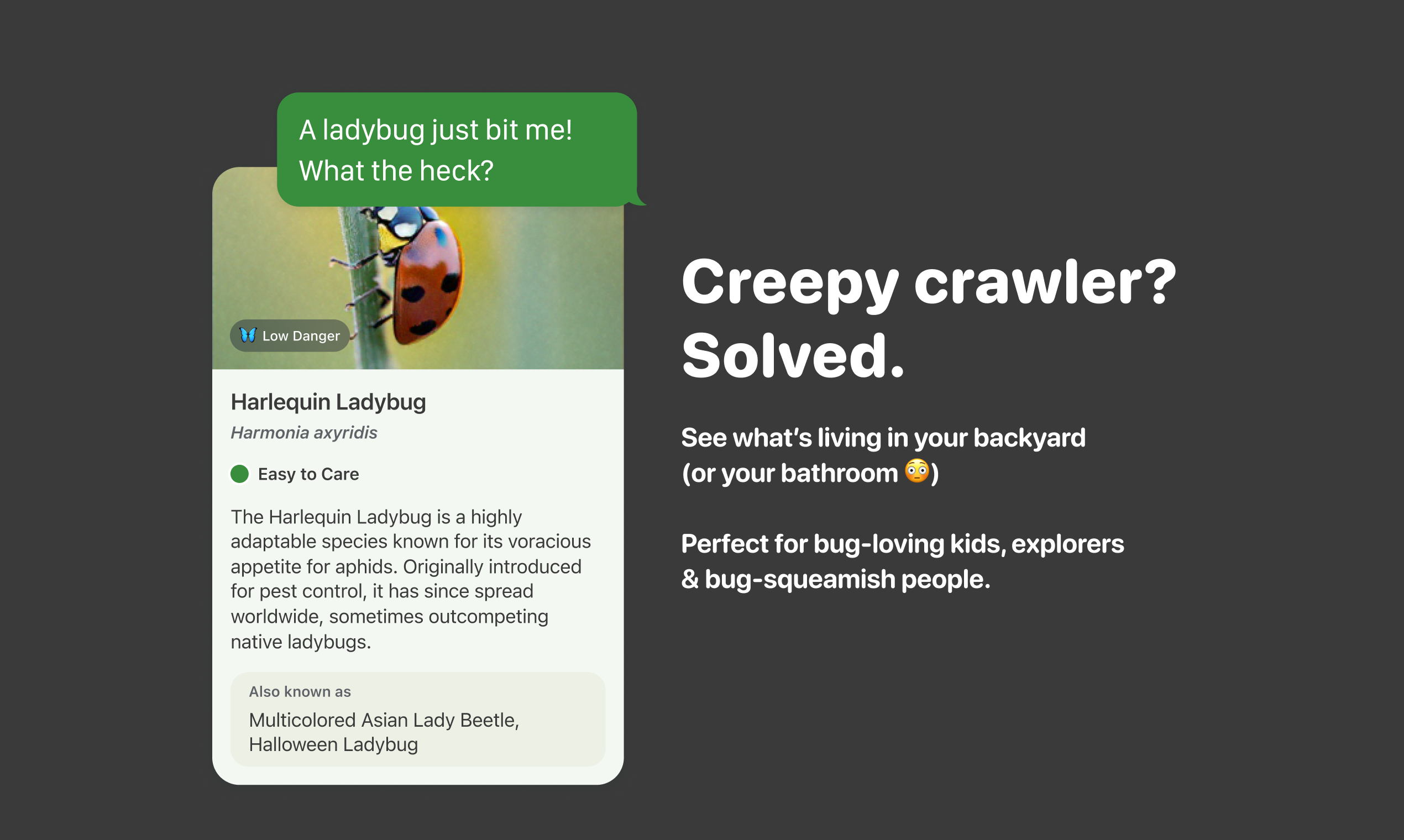 BugPic media 4