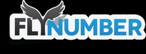 FlyNumber