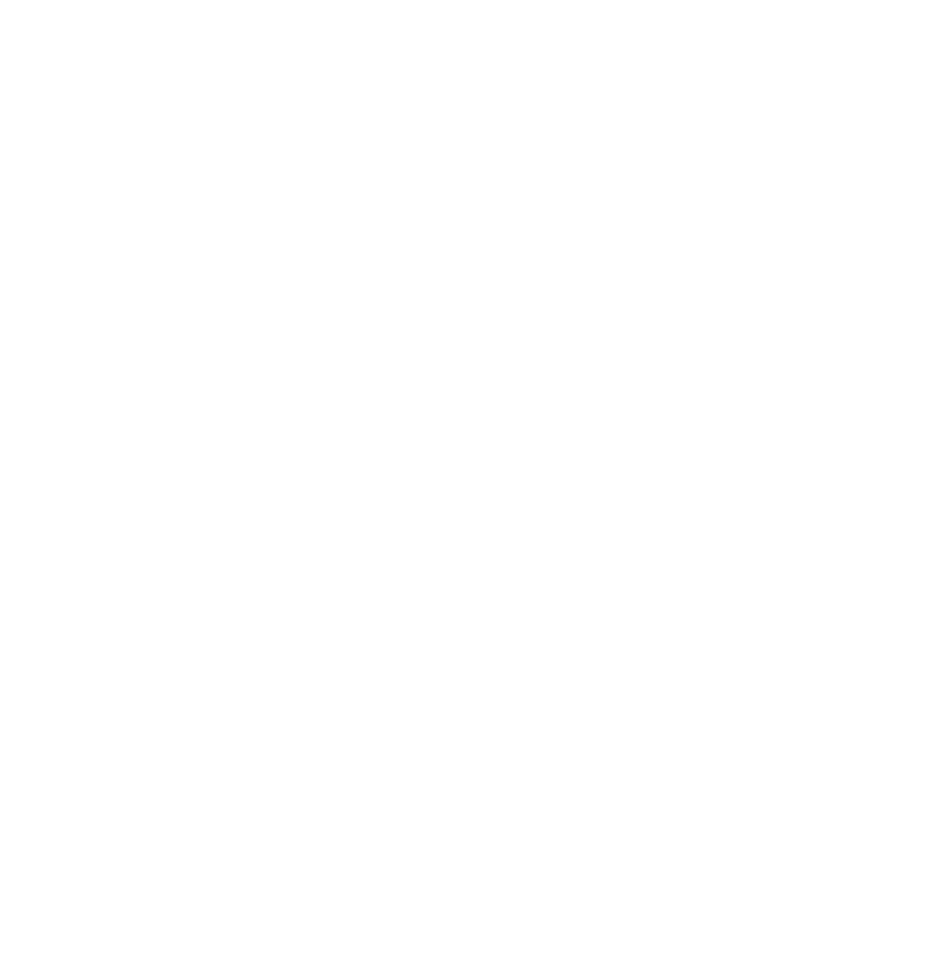 SkillForge gallery image