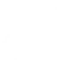 SkillForge gallery image