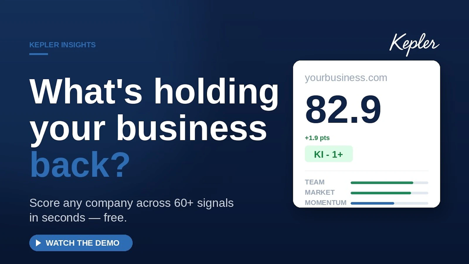 Kepler Insights screenshot 1 (video preview)
