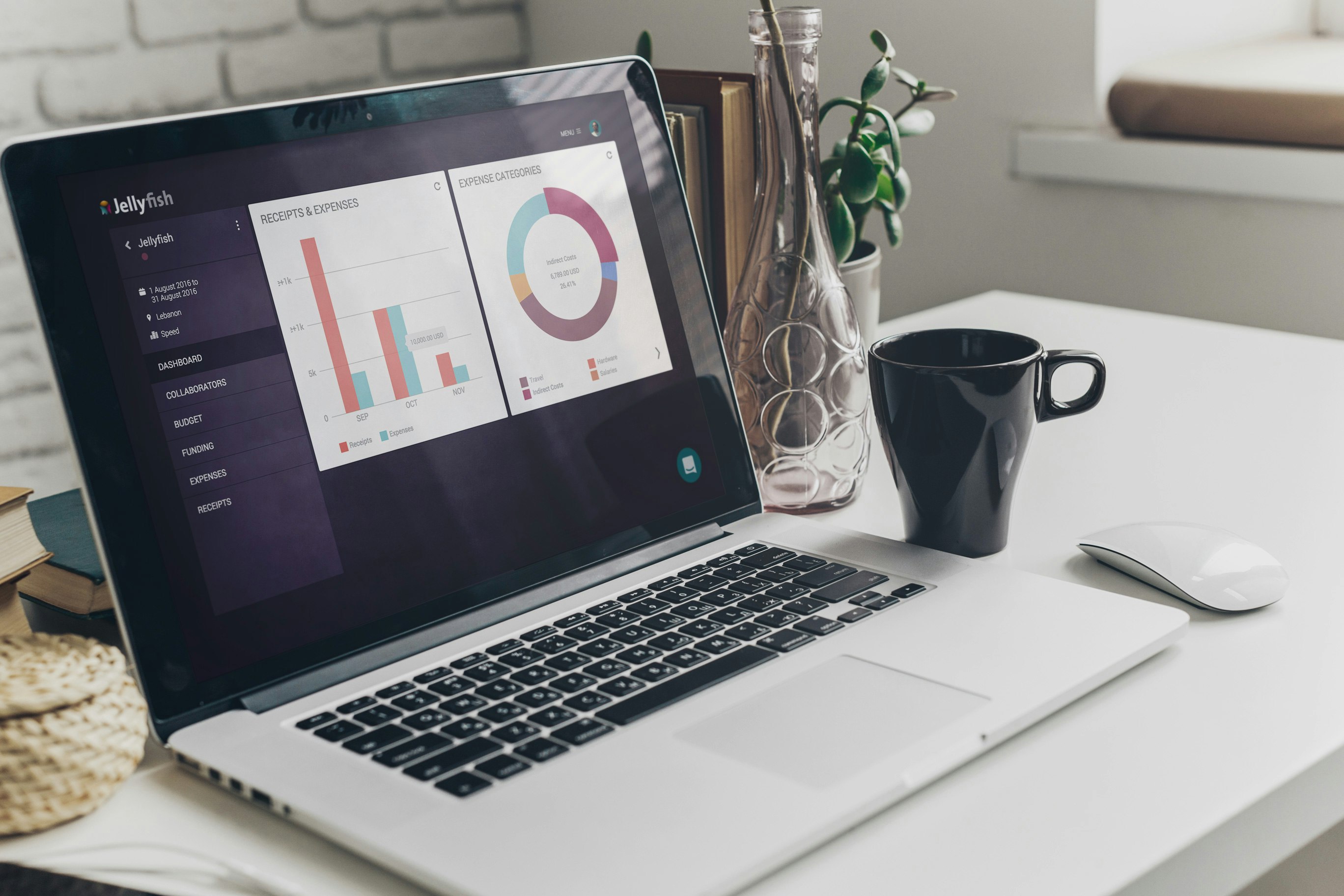 Jellyfish gallery image