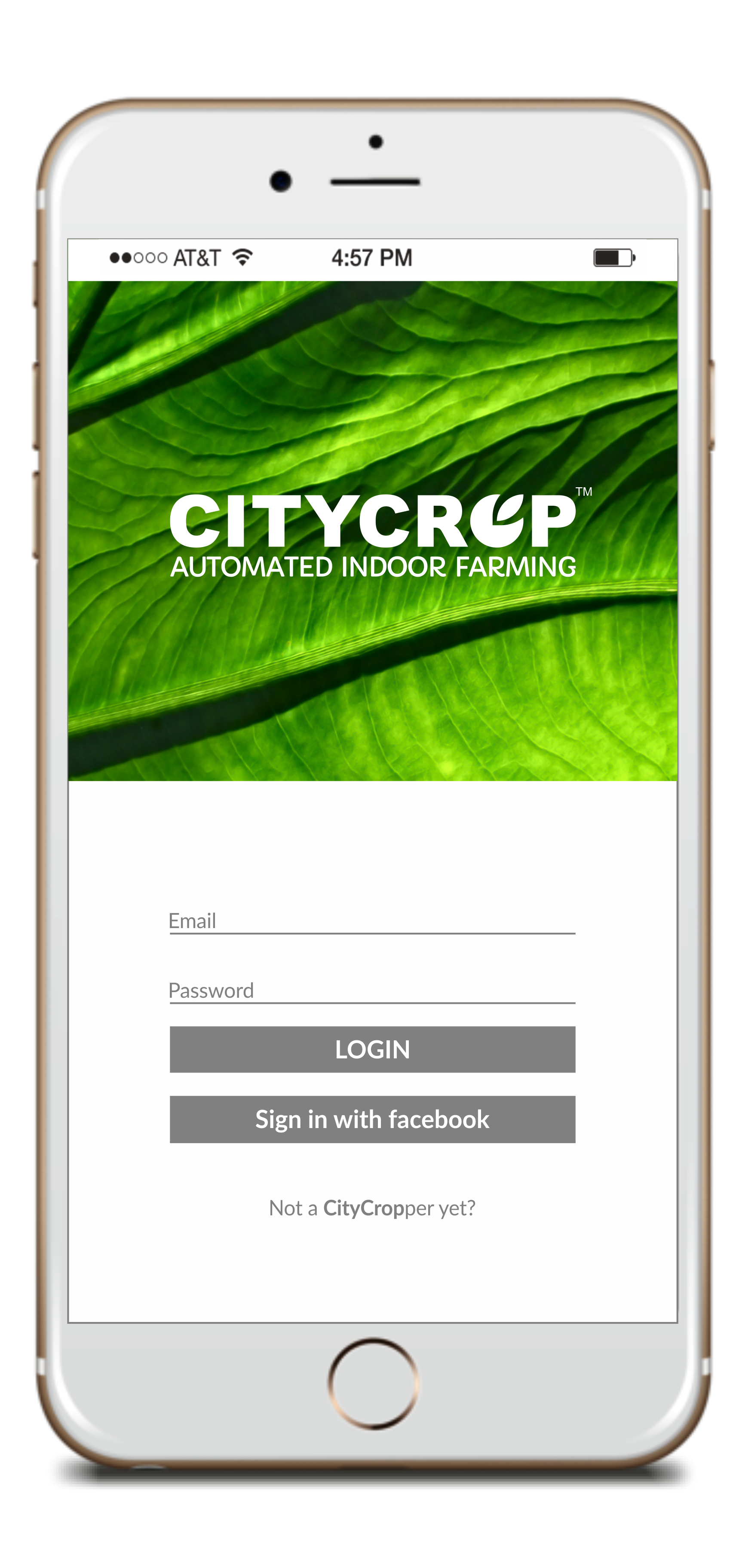 CityCrop gallery image