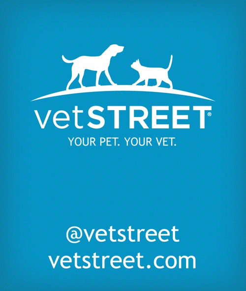 Vetstreet gallery image