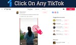 TikTok Video Downloader image