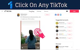 TikTok Video Downloader media 2