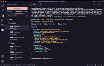 Thunder Client CLI gallery image