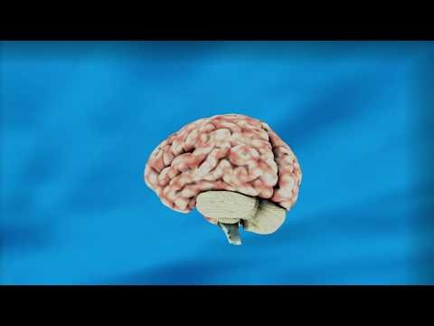 ThinkFit gallery image