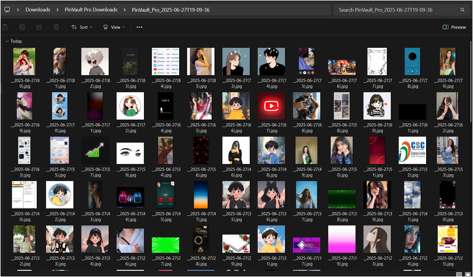 PinVault Pro or PinSaver Pro Downloader media 5