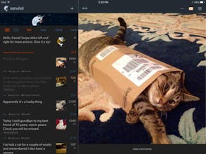 narwhal 2.0 for reddit gallery image