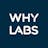 WhyLabs AI Observatory