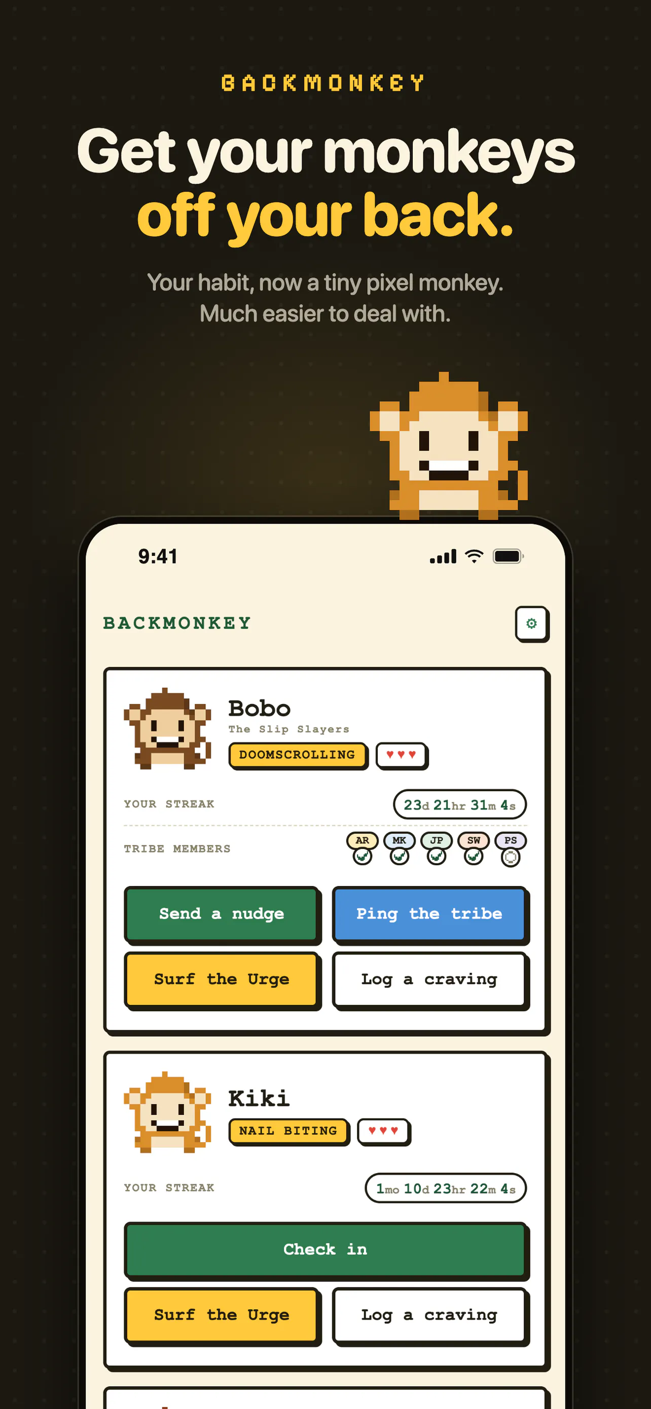 Backmonkey gallery image