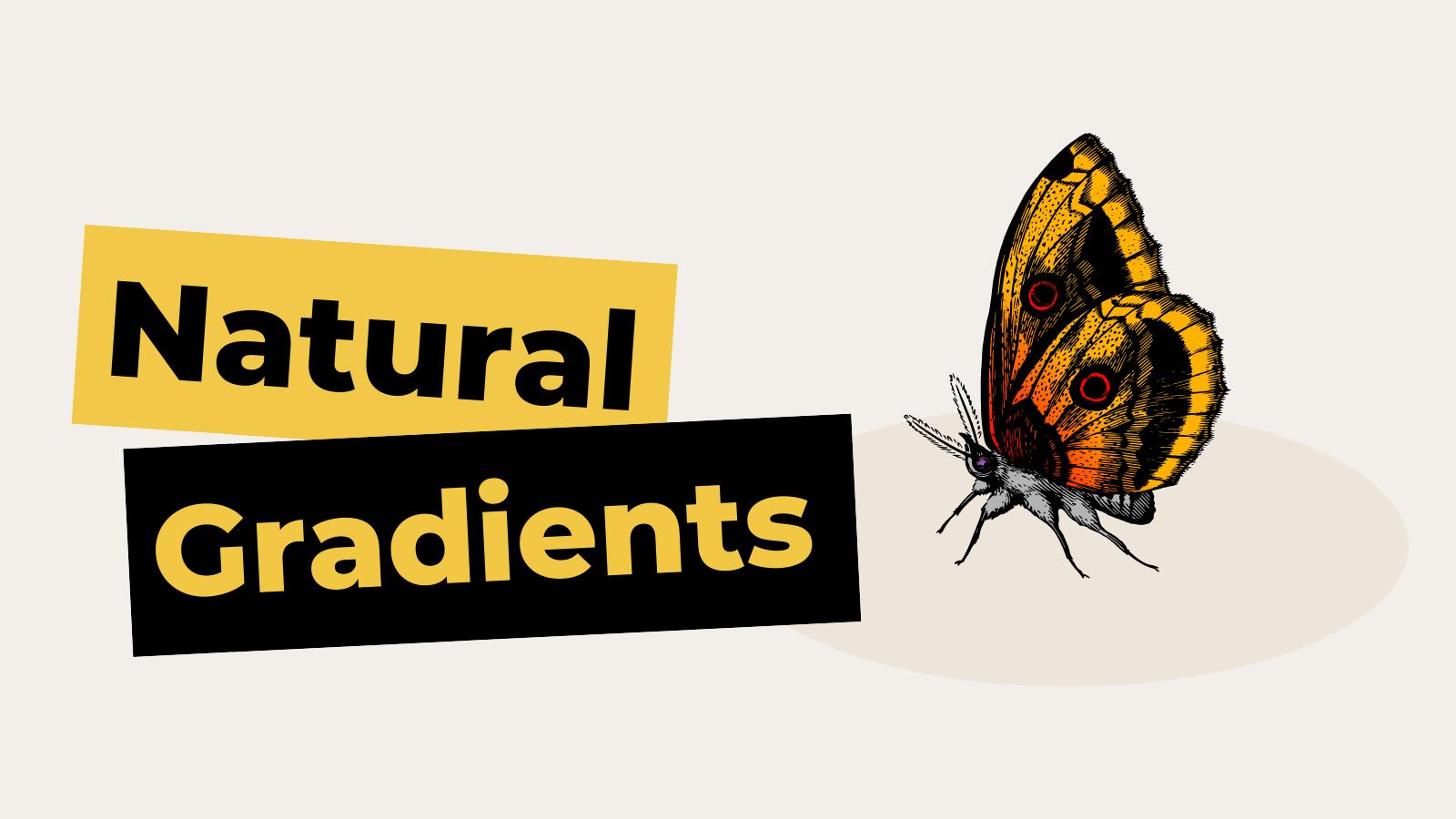 Natural Gradients gallery image