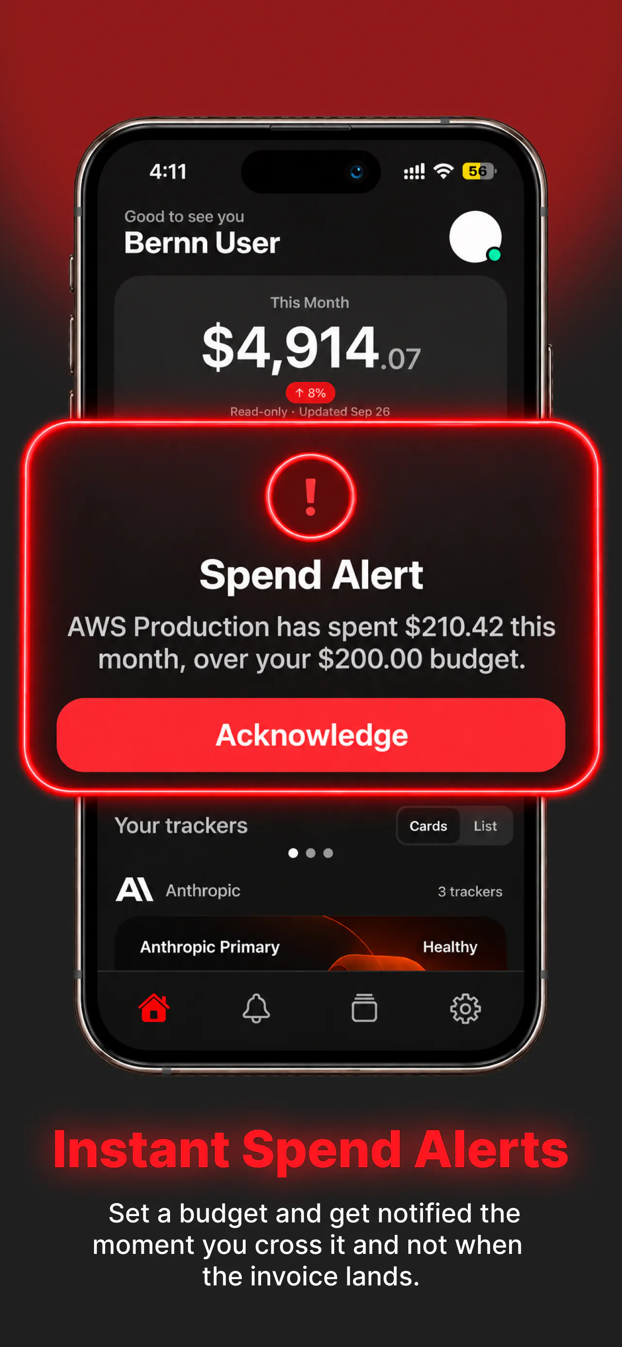 Bernn - Cloud & API Spending in one app gallery image