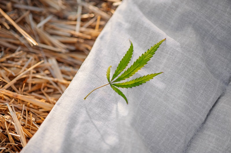 🌱 Hempy - 100% organic hemp blanket gallery image