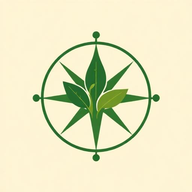 NewRoot