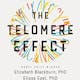 The Telomere Effect