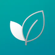 TaxHei logo