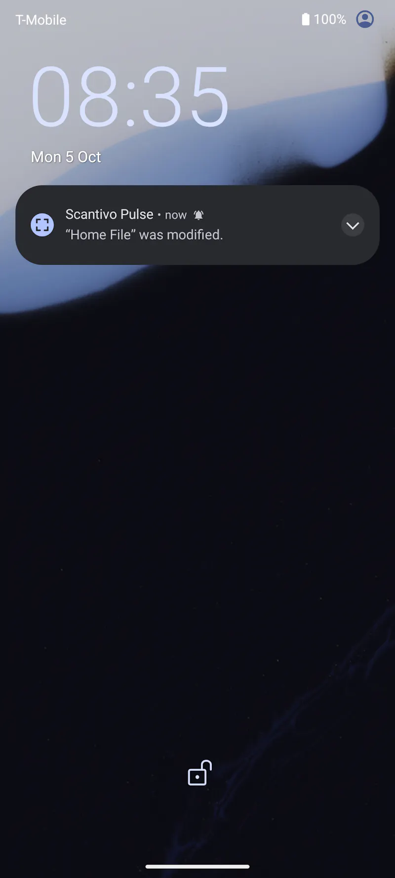 Scantivo screenshot 6