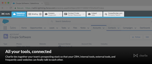Detective by Charlie gallery image
