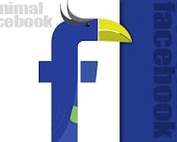 Pelican Facebook media 1